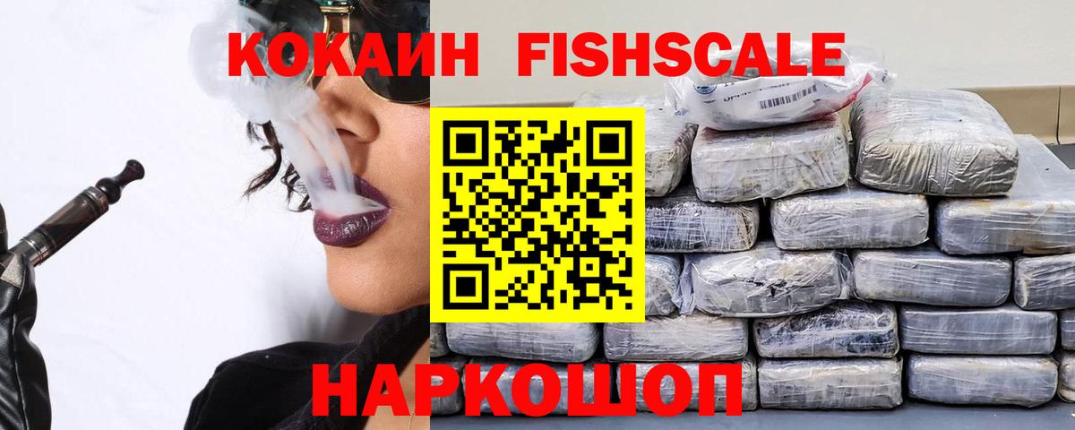 COCAIN Fish Scale  Вход с VPN  Междуреченск 